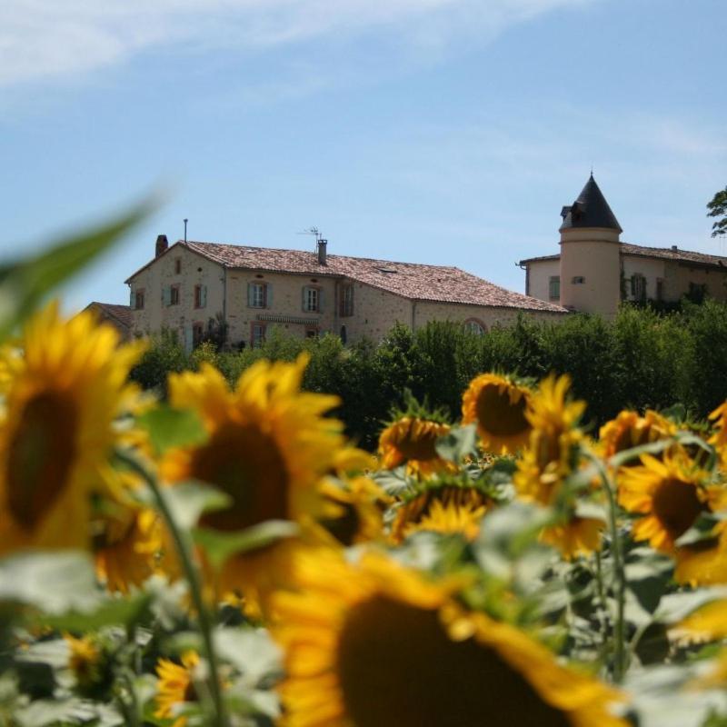 Domaine D'En Naudet Bed & Breakfast Teyssode Екстериор снимка